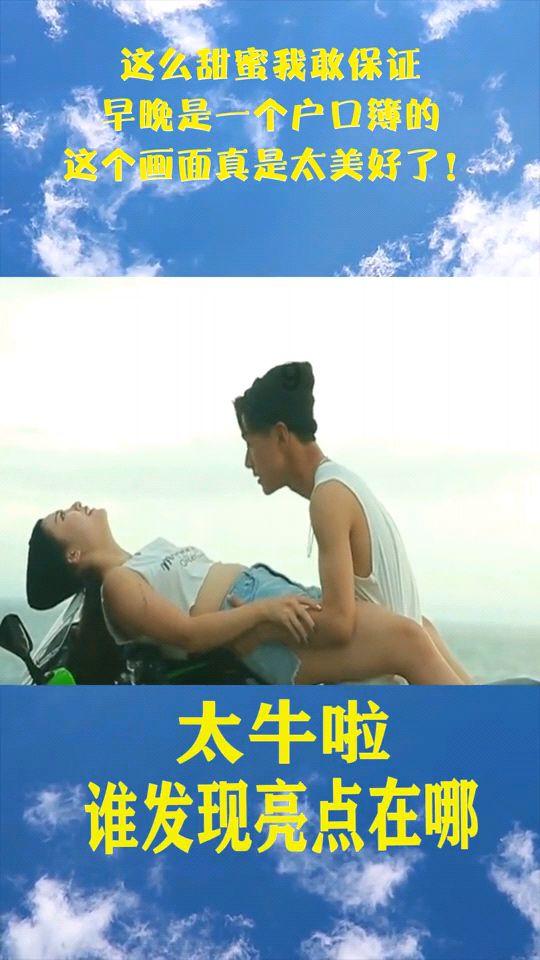 救援袋鼬